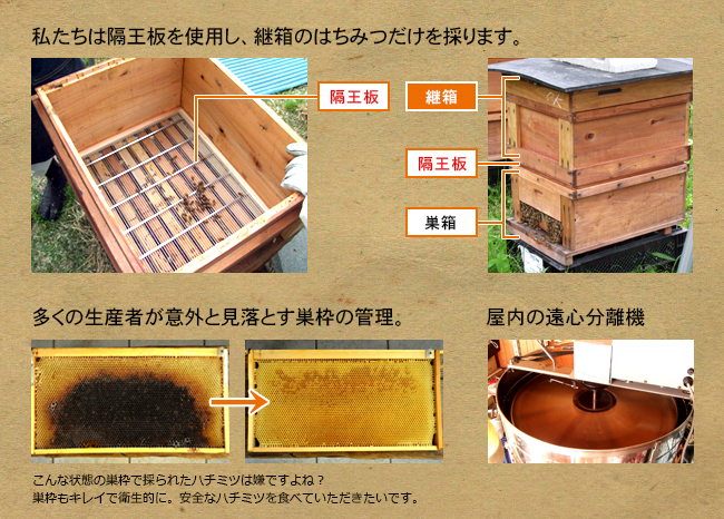 蜂蜜の採取方法